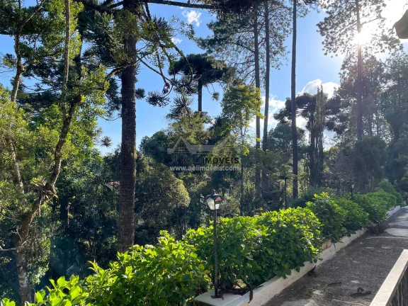 Imagem Apartamento Vila Real 106m² 3 Dormitórios Vista Mata Nativa