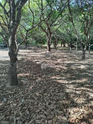 Imagem Terreno à venda, 80x160 m² por R$ 1.200.000 - Todos os Santos -(Verde Cap) Teresina/PI
