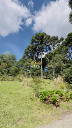 Imagem Chácara - Sítio com 3 Dormitorio(s) localizado(a) no bairro Jardim das Fontes em Canela / RIO GRANDE DO SUL Ref.:1561