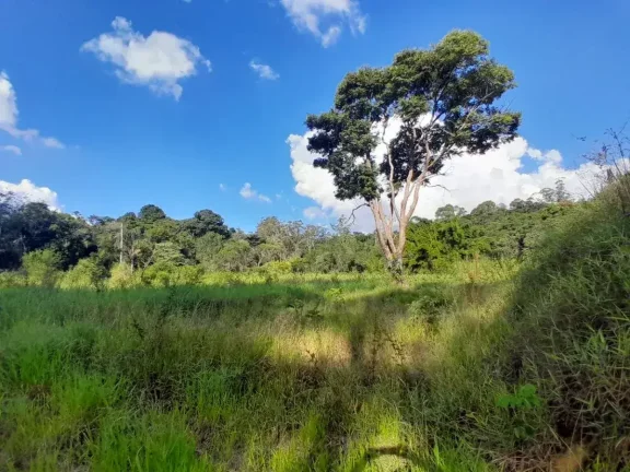 Imagem Lote à venda em Barbacena, Colônia Rodrigo Silva, 2500m2
