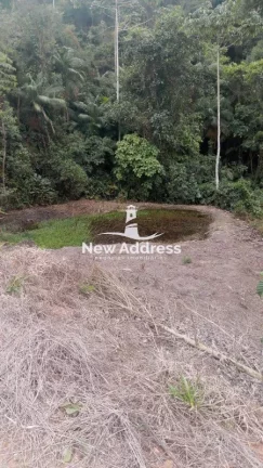 Imagem Terreno com 11.500 m², Platô Pronto, Lago e Nascente à Venda em Domingos Martins