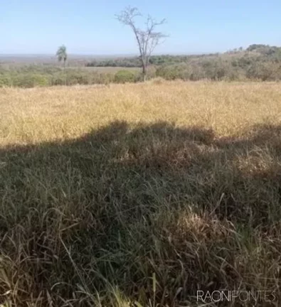 Imagem Fazenda à Venda, 2.032.800 m² em Zona Rural - Guaraci