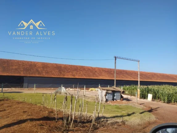Imagem SITIO COMERCIAL em MARECHAL CÂNDIDO RONDON - PR, Zona rural