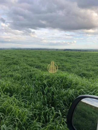 Imagem Fazenda à venda, 49464800 m² por R$ 511.000.000,00 - Centro - Pompéia/SP