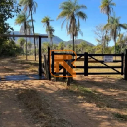 Imagem Sua Oportunidade de Investimento em Formosa-GO
