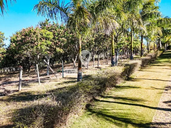 Imagem Sítio à Venda - Itatiba x Valinhos - 43.300 m²