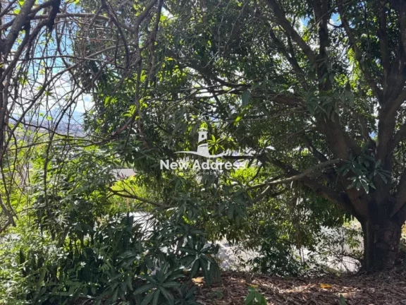 Imagem Terreno com 336 m² Venda no Bairro Vera Cruz - Cariacica/ES