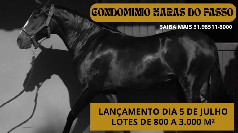 Condomínio rural com lazer completo perto de BH