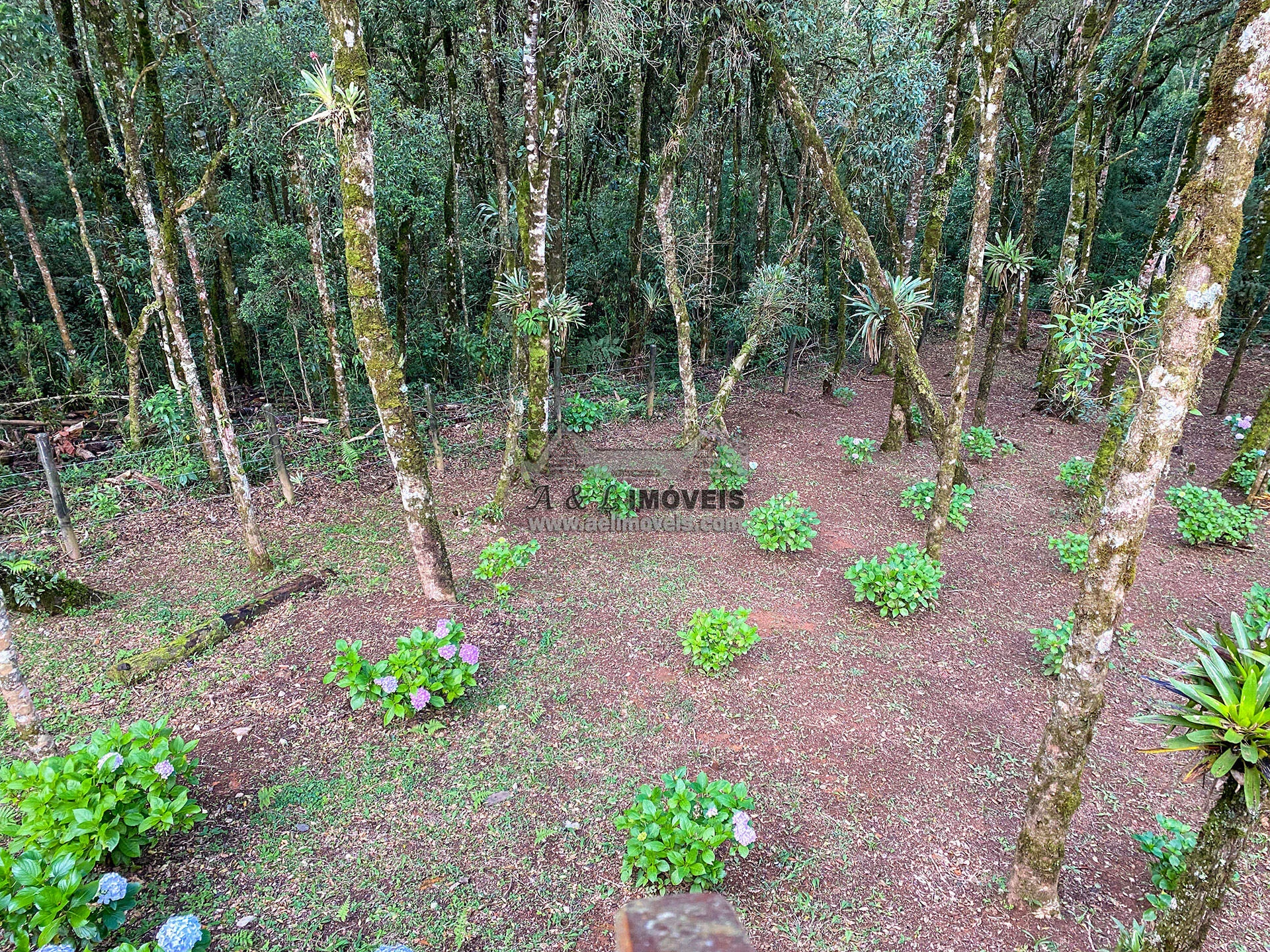 Imagem Casa à venda em Campos do Jordão - Belo imóvel com 3 dormitórios