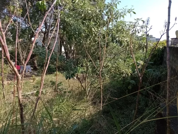Imagem Terreno, 406 m² - venda por R$ 425.000,00 ou aluguel por R$ 3.600,00/mês - Sitio Paredão - Ferraz de Vasconcelos/SP