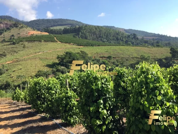 Imagem FAZENDA EM COLATINA (28KM DO CENTRO) / UM IMPERDÍVEL NEGÓCIO!