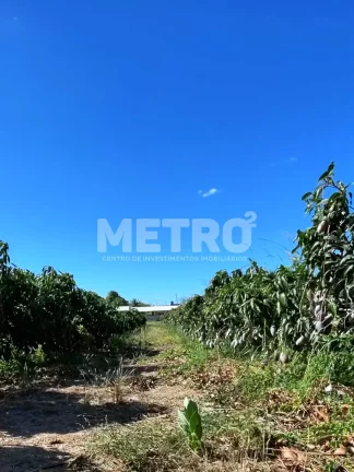 Imagem Área Beira de Rio à venda com 34ha, casa, 2 tanques criação de peixes, Petrolina
