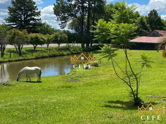 Imagem Chácara - Sítio com 2 Dormitorio(s) localizado(a) no bairro Figueira em Três Coroas / RIO GRANDE DO SUL Ref.:1424