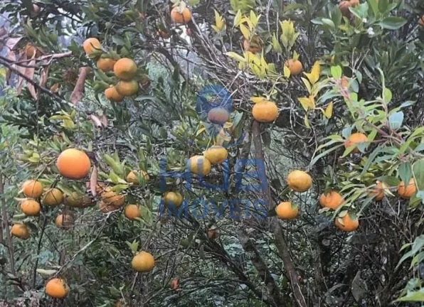 Imagem Sítio à venda, Anitápolis, Anitápolis, SC