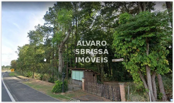 Imagem Área rural com 43.000 m² e várias árvores nativas e especiais em Itu SP