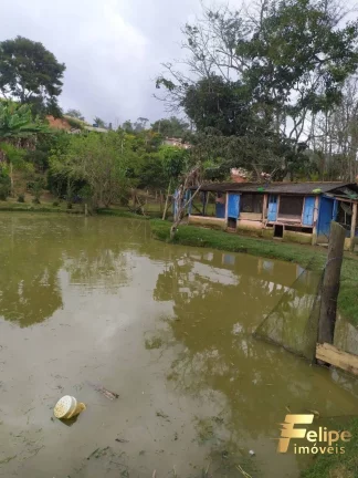 Imagem MARAVILHOSO SITIO PARA TODA A FAMÍLIA EM DOMINGOS MARTINS / ES