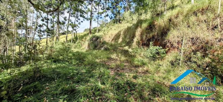 Imagem Viva o sonho na Serra da Mantiqueira neste aconchegante terreno!