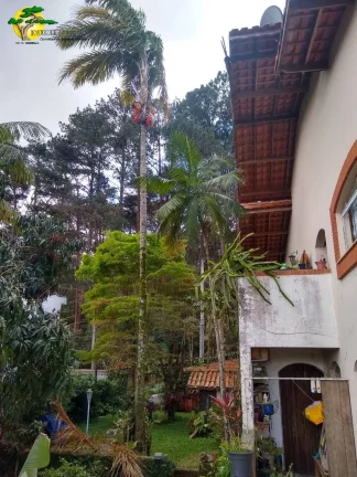 Imagem SOBRADO EM FRENTE A MATA DO HORTO FLORESTAL