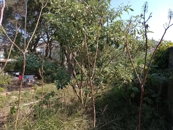 Imagem Terreno, 406 m² - venda por R$ 425.000,00 ou aluguel por R$ 3.600,00/mês - Sitio Paredão - Ferraz de Vasconcelos/SP