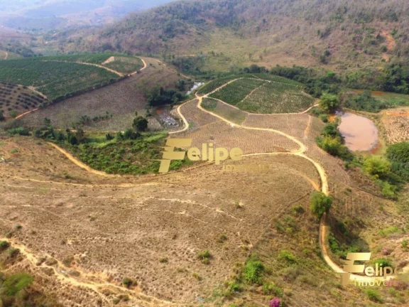 Imagem FAZENDA EM COLATINA (28KM DO CENTRO) / UM IMPERDÍVEL NEGÓCIO!