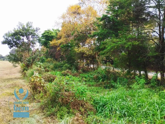 Imagem Oportunidade única. Terreno à venda, 2499 m² por R$ 1.272.000 - Santa Felicidade - Curitiba/PR