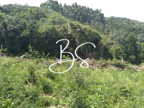 Imagem SITIO RURAL em IGREJINHA - RS, Serra Grande