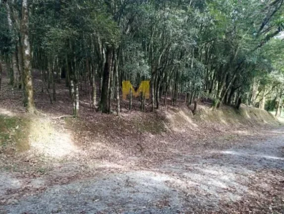 Imagem Chácara à venda no Recreio da Serra em Piraquara!!!