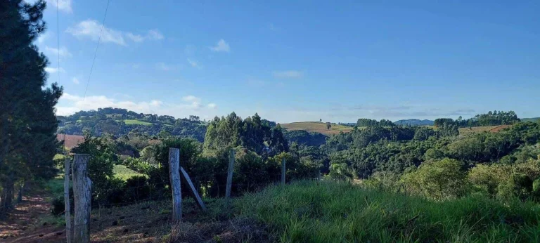 Imagem Chácara à venda em Campo Largo/PR