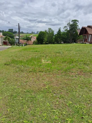 Imagem Terreno-Lote Residencial com 6 Dormitorio(s) localizado(a) no bairro Elsa em Viamão / Rio Grande do Sul Ref.:57580897