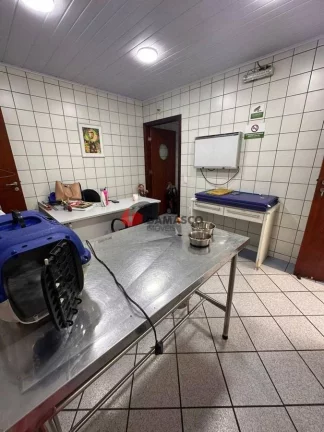 Imagem Casa para locação, Santa Maria, São Caetano do Sul, SP