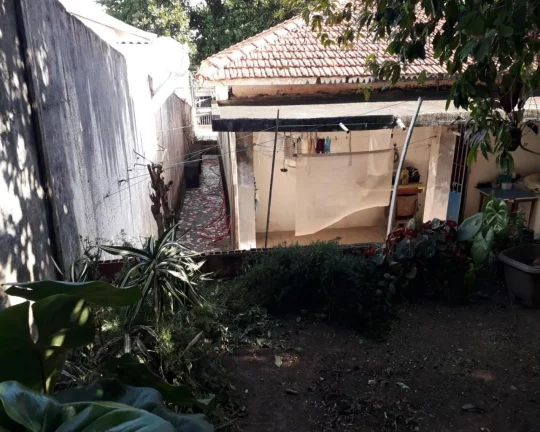 Imagem * CASA TÉRREA NO BUTANTÃ C/ 275 M² DE TERRENO, 3 DORMS; 2 VAGAS.