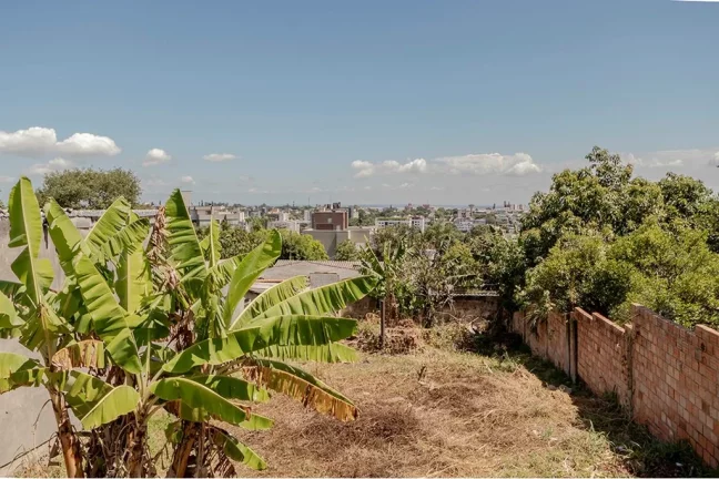 Imagem TL 1144 Lote 610191029-25 - Terreno à venda no bairro Tristeza - Porto Alegre/RS