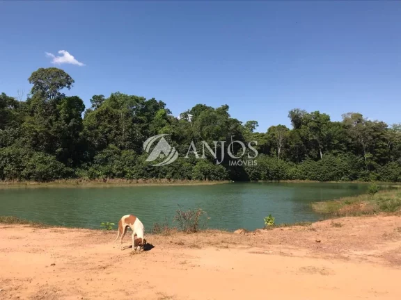 Imagem CHÁCARA QUITADA NO CANTINHO DA FLORESTA I, ÁREA RURAL, SINOP MT