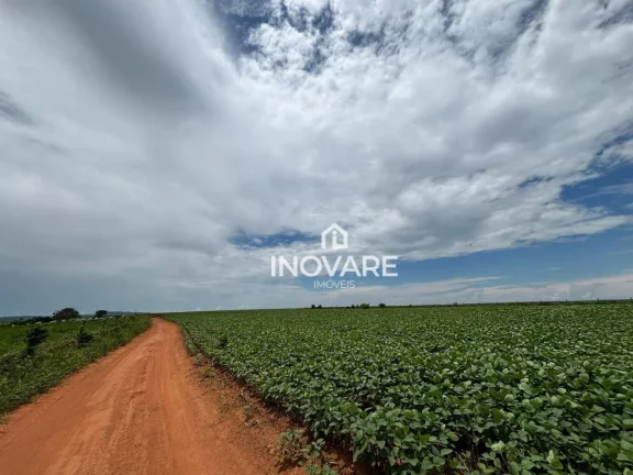 Imagem Fazenda à venda, 10000 m² por R$ 250.000,00 - Setor Central - Corumbaíba/GO