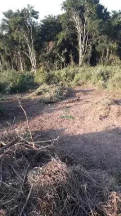 Imagem Terreno à venda, 1036 m² por R$ 450.000,00 - Ouro Fino - Santa Isabel/SP