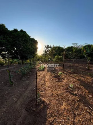 Imagem Chácara à venda no Jardim Helvécia Complemento - Aparecida de Goiânia/GO