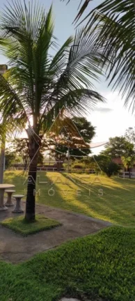 Imagem Chácara - Santa Rosa de Viterbo - Santa Rosa de Viterbo