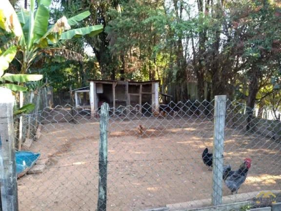 Imagem CHÁCARA À VENDA, 9000 M² POR R$ 3.192.000,00 - 15 - ITUPEVA/SP