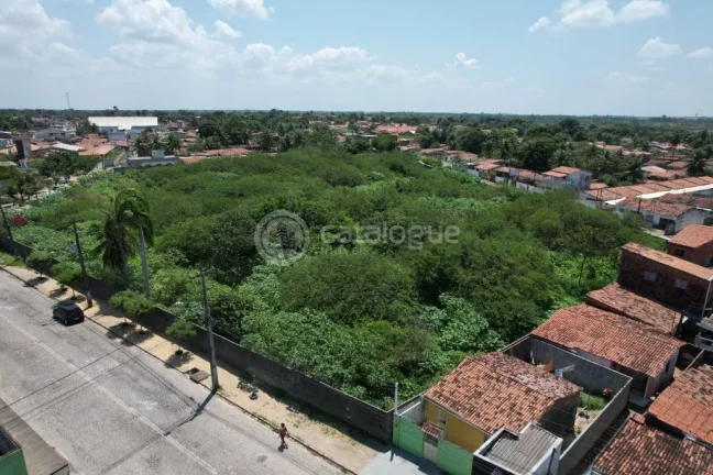 Imagem Excelente Terreno à Venda com 11.118m² em Passagem de Areia – Parnamirim/RN