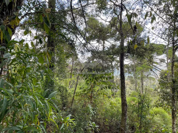 Imagem Terreno à venda em Campos do Jordão - Excelente opção para investimento