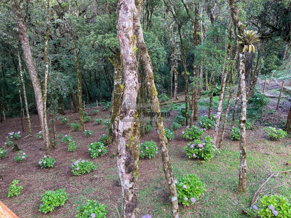 Imagem Casa à venda em Campos do Jordão - Belo imóvel com 3 dormitórios