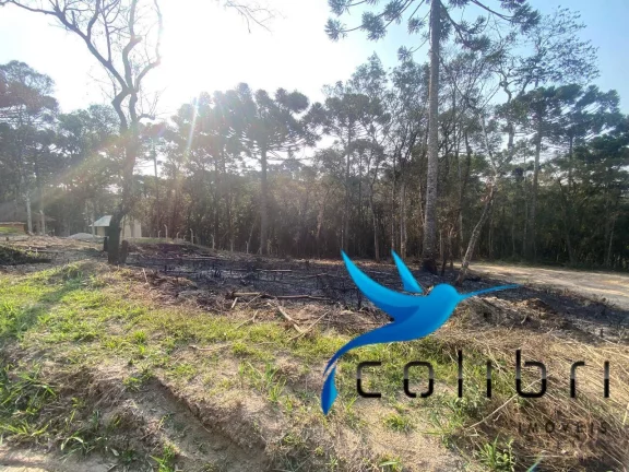Terreno à Venda, 2.141 m² em Leão - Agudos Do Sul