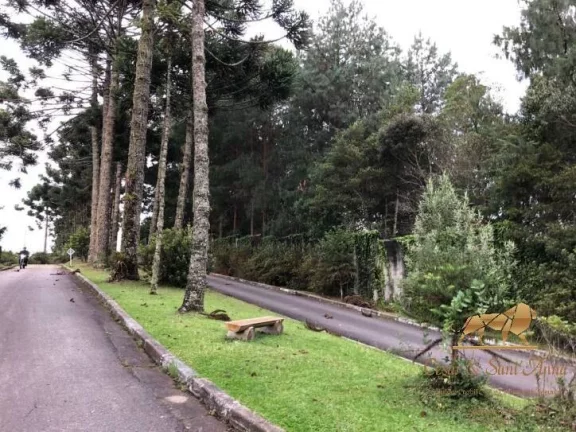 Imagem Terreno à venda, 2450 m² Capivari - Campos do Jordão/São Paulo