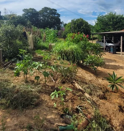 Imagem SITIO RURAL em MONTE MOR - SP, centro