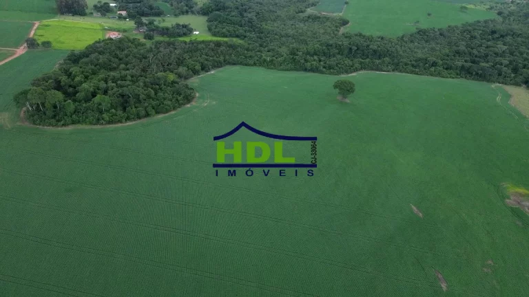 Imagem Fazenda 70 Alqs Dupla Aptidão plantada em Soja em Bela Vista GO