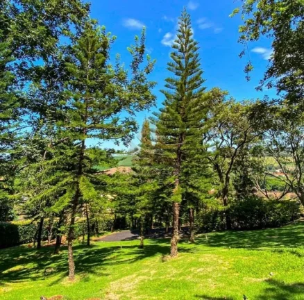 Imagem Terreno Condomínio - Ribeirão Preto - Bonfim Paulista
