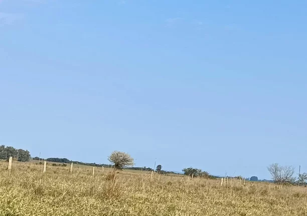 Imagem Fazenda à Venda – 583 Hectares – Viamão/RS