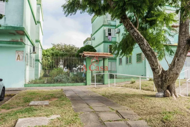 Imagem Apartamento com 2 Dormitorio(s) localizado(a) no bairro Santa Tereza em Porto Alegre / Rio Grande do Sul Ref.:167