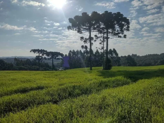 Imagem ÁREA PARA FORMAR CHÁCARA EM BALSA NOVA