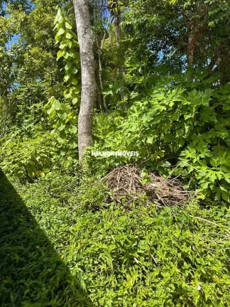 Imagem Terreno à Venda com 3.260m² - Praia do Estaleiro - Balneário Camboriú -SC